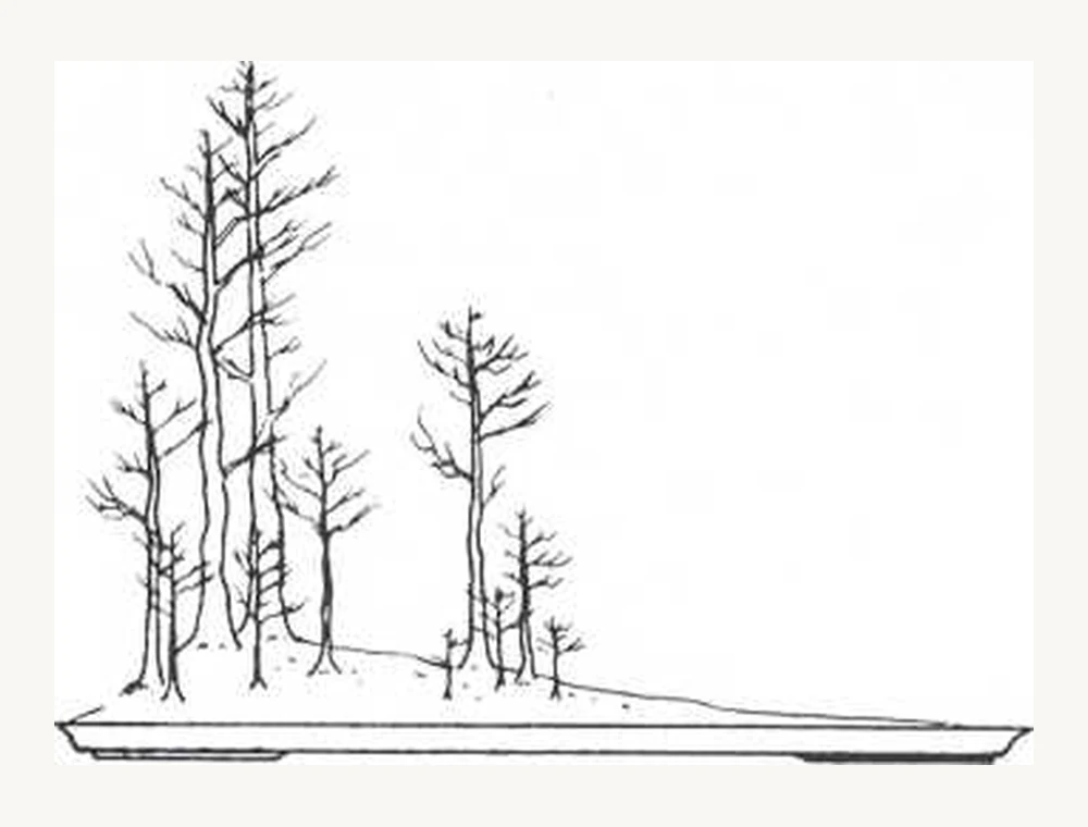 Ilustración clásica de una plantación de bosque con árboles de distintas alturas y profundidad