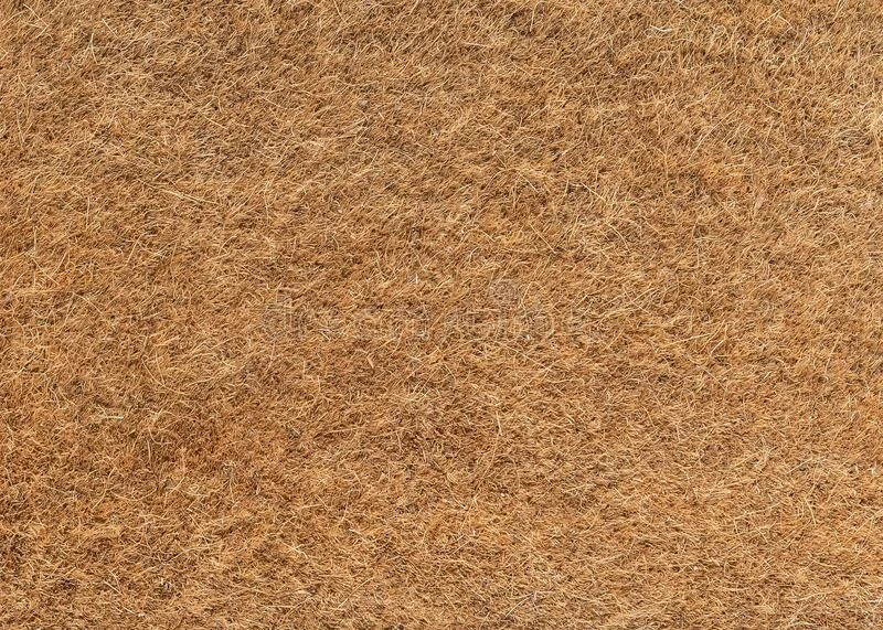 Fibra de coco utilizada como componente de sustratos para plantas