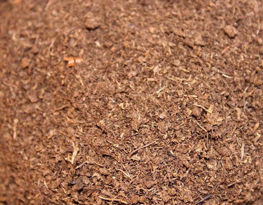 Turba utilizada como componente orgánico de un sustrato para plantas