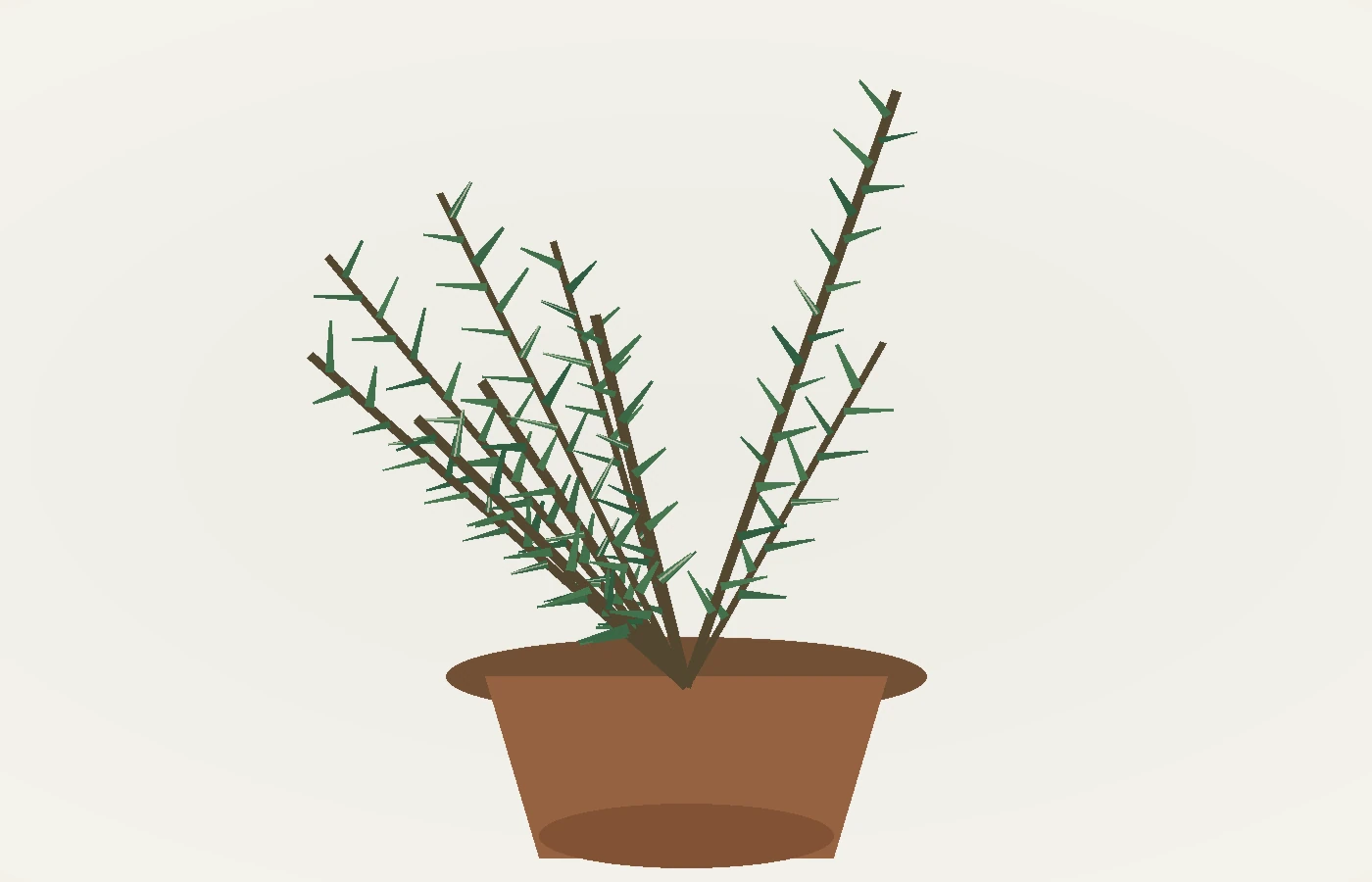 Ilustración de una planta de romero cultivada en maceta