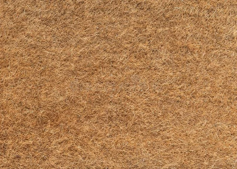 Fibra de coco utilizada como componente de sustrato
